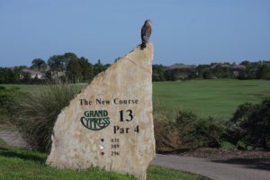 An interested spectator on the 13th tee