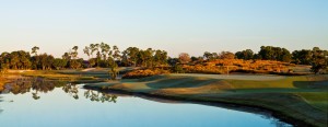 5th green - wanamaker course