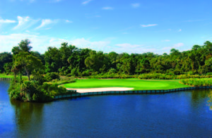 #16 Hills Course - Palmetto Dunes