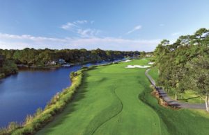 #16 Fazio Course - Palmetto Dunes 