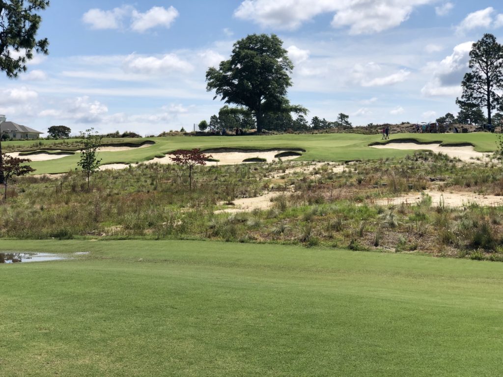 The Cradle - 3rd Hole