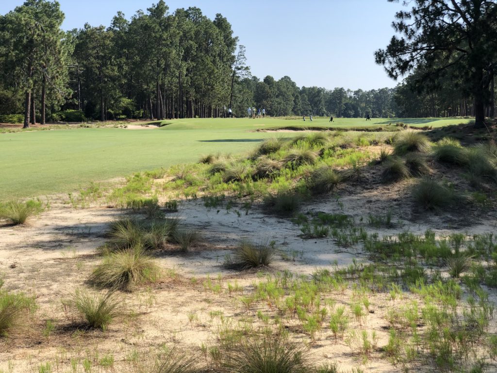 Pinehurst Resort No. 2 Course - First Hole