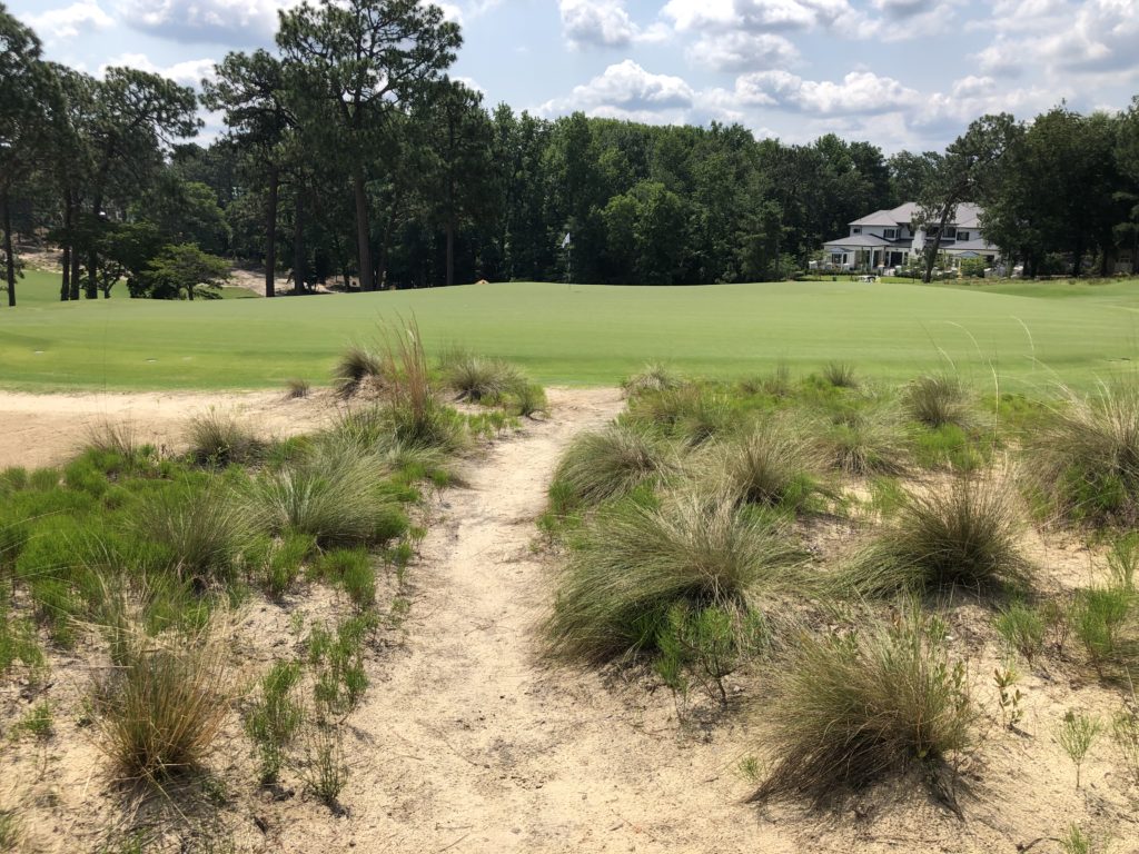 Pinehurst Resort No. 2 Course - 5th Hole