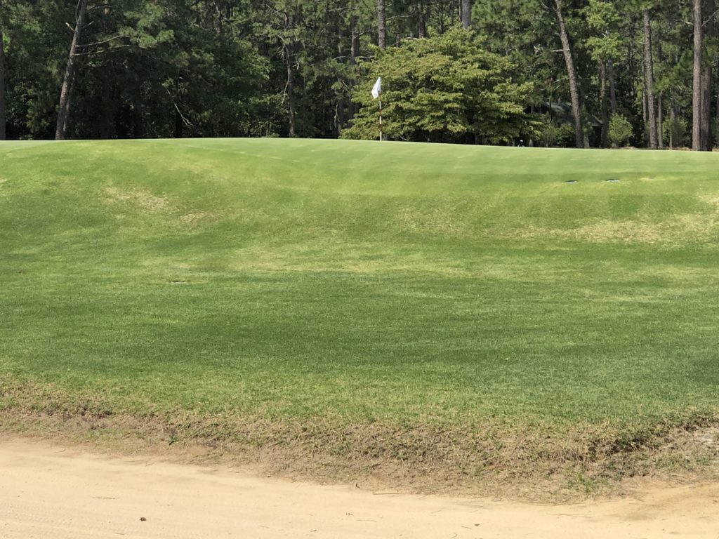 Pinehurst Resort - No. 2 Course - False Edge