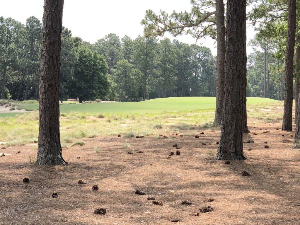 Pinehurst Resort No. 2 - 8th Hole