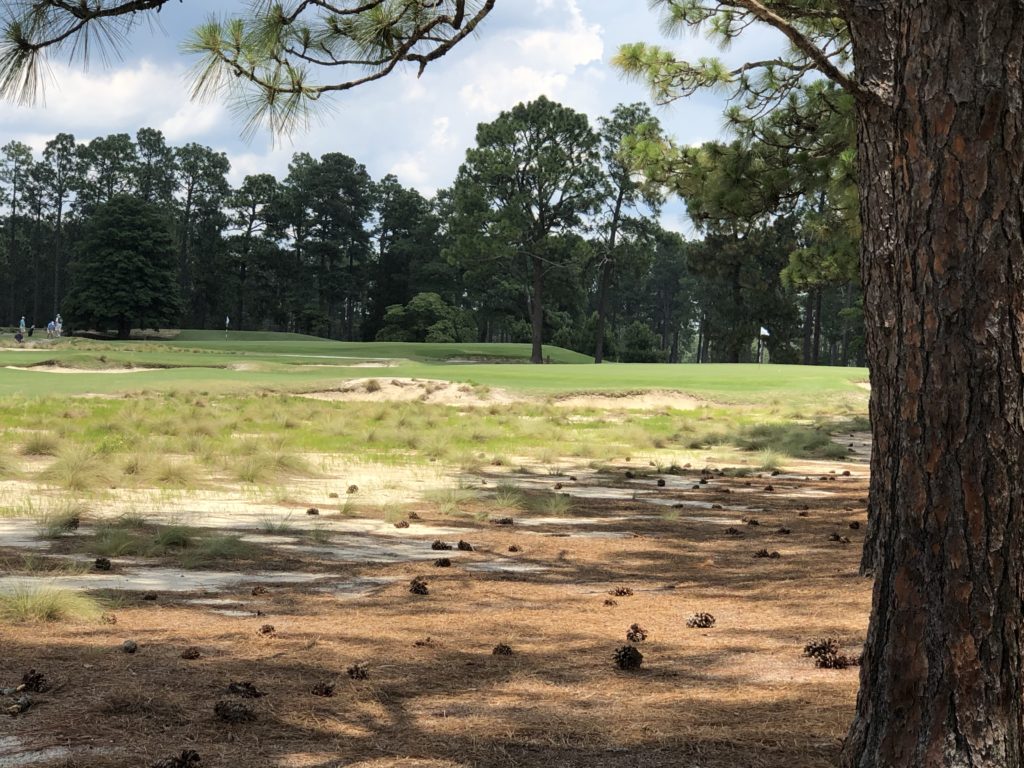 Pinehurst No. 2 course - Native Area